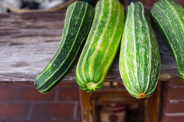 Four green homegrown  zucchini