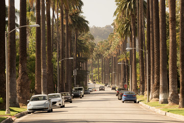 Naklejka premium Ulice Beverly Hills w Kalifornii