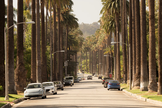 Streets of Beverly Hills in California