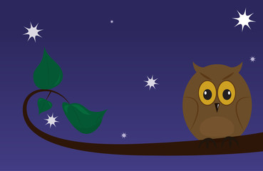 Owl on a branch