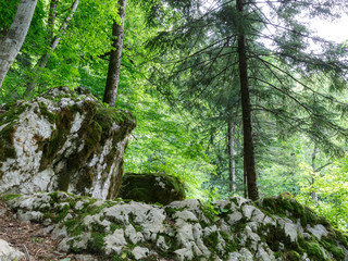 Кавказские горы