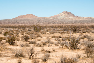 Fototapeta premium Mojave Desert