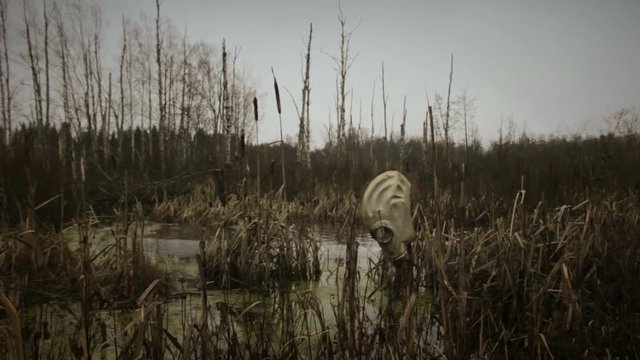 gas mask in dead swamp forest