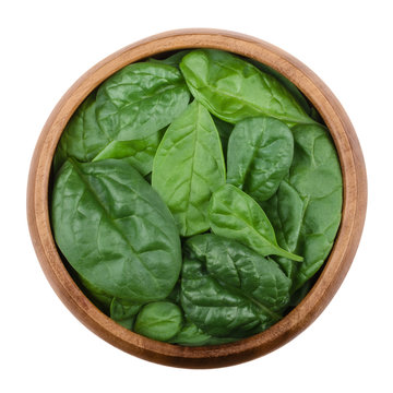 Fresh green spinach leaves in a wooden bowl on white background. Spinacia oleracea, edible flowering plant in the family Amaranthaceae. Raw vegetable. Isolated macro food photo, close up from above.