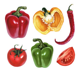Watercolor illustrations of tomato, paprika and chili pepper