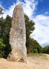 La pierre plant&eacute;e