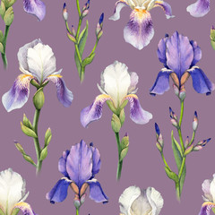 Watercolor iris flower illustrations. Seamless pattern