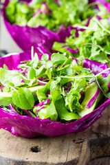 Healthy vegetarian lettuce arugula ruccola cabbage salad