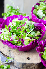 Healthy vegetarian lettuce arugula ruccola cabbage salad