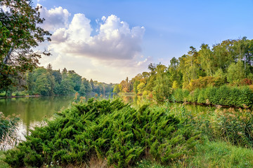 Autumn park.  Leaf fall. Lake.