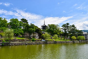 猿沢池と興福寺