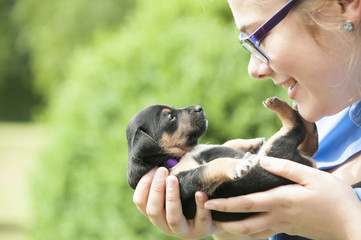 Junge Frau mit Hundebaby
Tierliebe, Jack Russel Welpe

