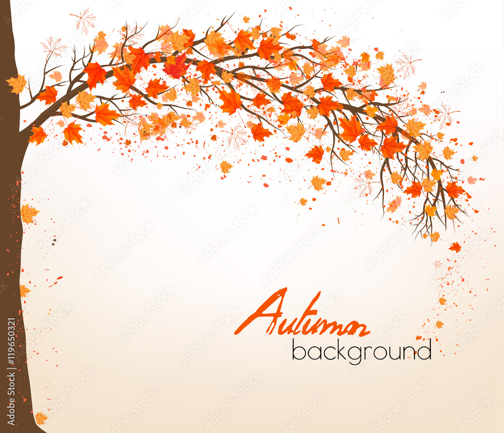 Aufkleber autumn abstract background with colorful leaves. vector