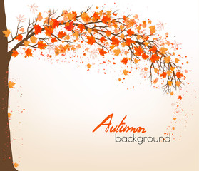 Autumn abstract background with colorful leaves. Vector
