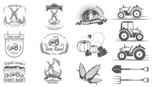 A set of logos,labels, stamps, badges for organic food. Vector i