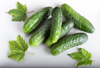 Огурцы для консервации,фон-светлый.