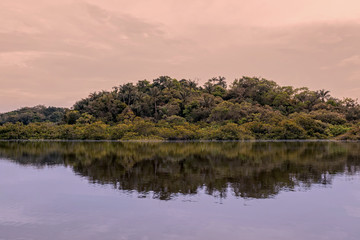 Fototapeta na wymiar Laguna Grande, Lake On Cuyabeno River