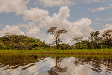 Clouds Rising From The Amazonian Jungle