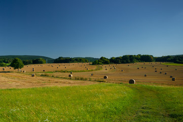 Obraz premium Straw bales on a wheat field. South Moravia, Czech Republic.