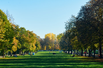 Relax in Central Park