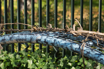 ツタの絡まる柵