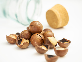 Ripe macadamia nuts closeup. Small Depth of Field