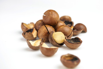 Ripe macadamia nuts closeup. Small Depth of Field
