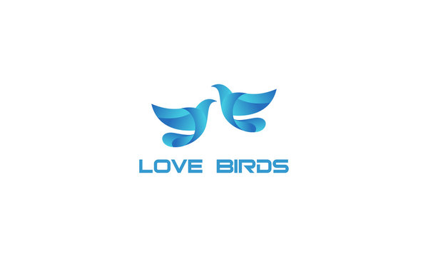 couple dove design logo