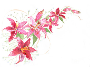 акварельное цветочное свадебное приглашение с лилиями.Летняя открытка. Лилии на белом фоне.