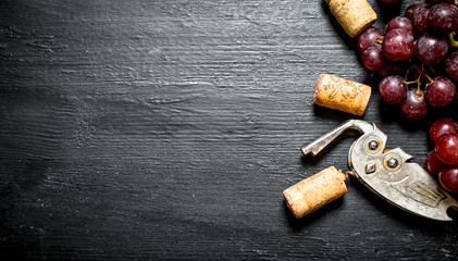 Wine corks with corkscrew and grape branch.