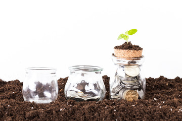 trees growing on coins