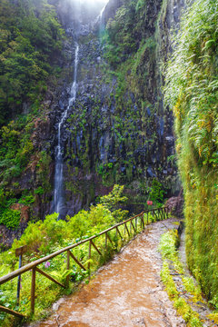 laurel forest and Irrigation canal. Lewada das 25 fontes and Lewada do Risco , Madeira Island, Portugal