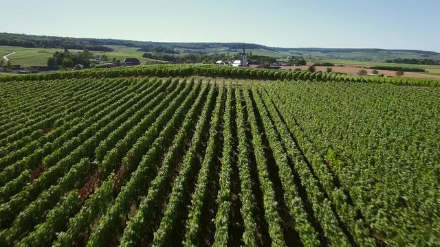 France, Champagne, regional park of Montagne de Reims, Aerial view of Chamery, HD movie (1920X1080) 