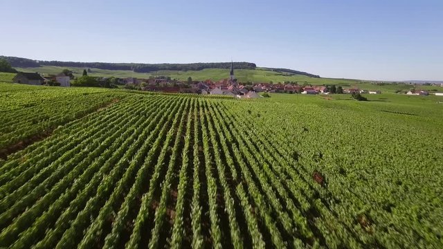 France, Champagne, regional park of Montagne de Reims, Aerial view of Chamery,HD movie (1920X1080)