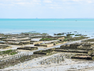 Oyster farms with growing oysters in lowtide, Cancale, France
