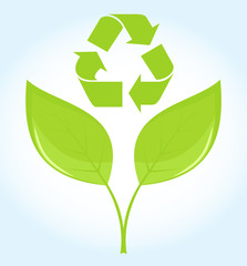 Recycle symbol icon with leaves