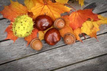 Chestnuts. Fresh chestnuts on old wood background.  