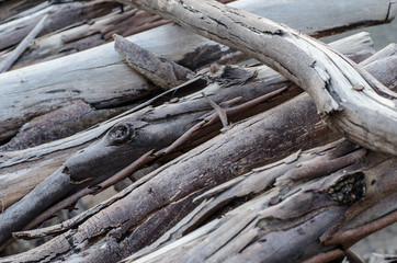 the olds wood bridge,select focus