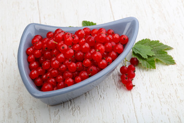 Red currants