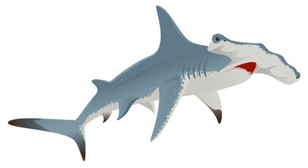 Big hammerhead shark - obrazy, fototapety, plakaty