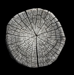 Verwitterte Holzscheibe