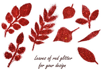 Set with leaves of red glitter on white background for your design