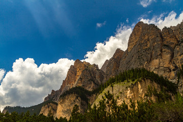 Dolomites, Natural Park Fanes-Senes-Braies. Italy. Detail of mou