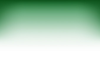 White Emerald Green Gradient Background Vector Illustration - 119670196