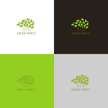 Forest logo or icon with trees in vector