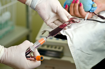 Taking blood from a donor in the test tube