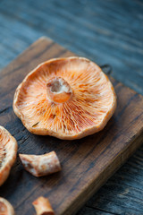 Saffron Milk Cap mushrooms