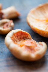 Saffron Milk Cap mushrooms