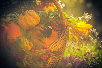 Basket autumn fruit colorful pumpkins asters