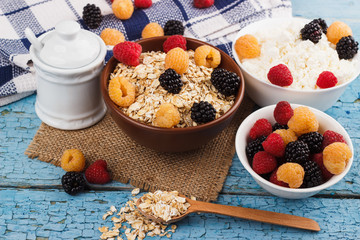 Portion of oatmeal in the bowl with berries